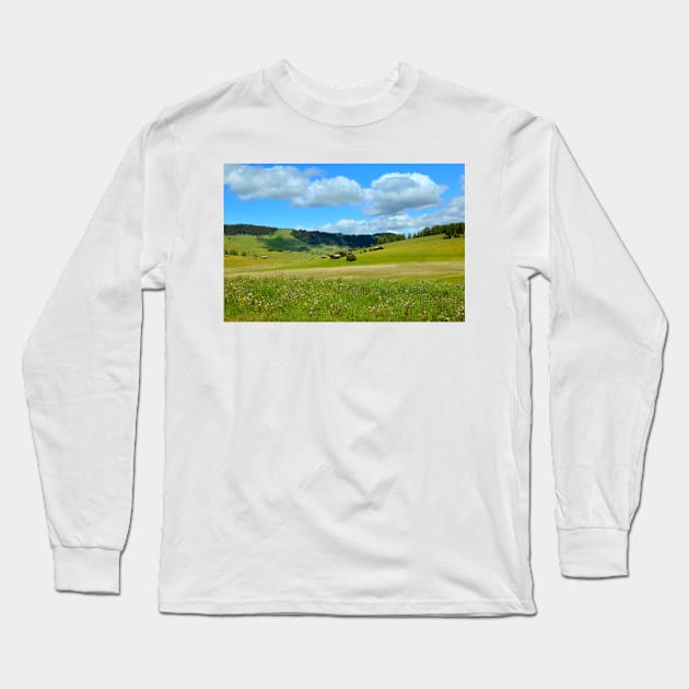 Alpine meadows Long Sleeve T-Shirt by annalisa56